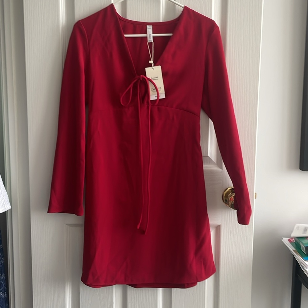 Mango Red Dress - Picture 8 of 10